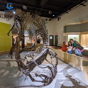 Esqueleto Gigante de <span class=keywords><strong>Tiranosaurio</strong></span> <span class=keywords><strong>Rex</strong></span> para Museo, Estatua Realista de Esqueleto de Dinosaurio - Product Image 6