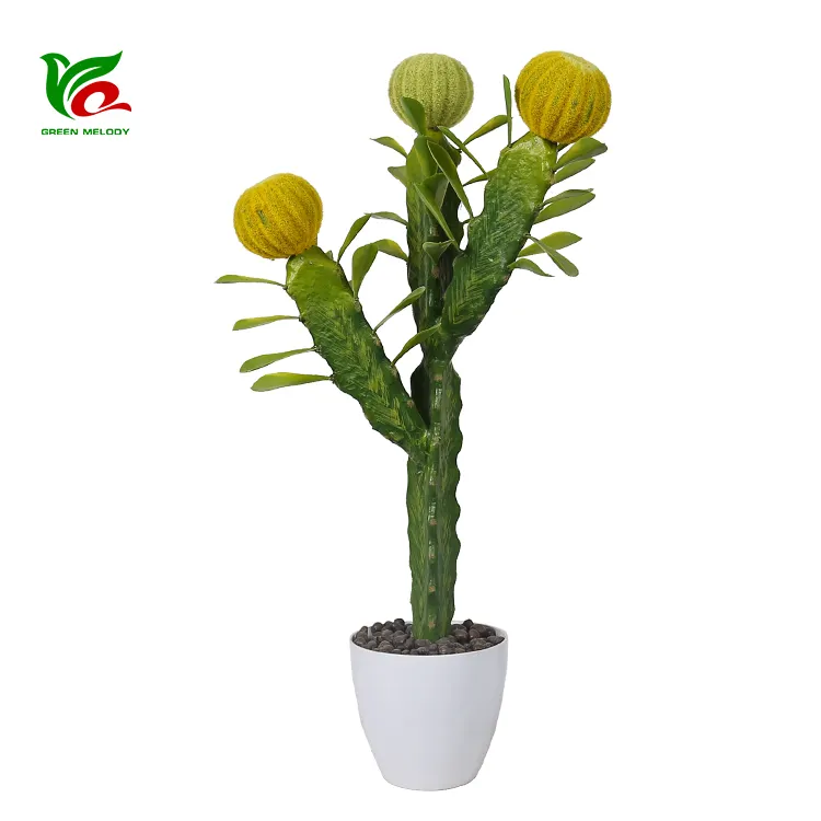 Planta de Cactus de 60cm, maceta con hojas, gran oferta