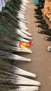 <span class=keywords><strong>Top</strong></span> Fornitore di ZPDECOR Commercio All'ingrosso A Buon Mercato 80-90 cm di Lunghezza Naturale Del Pavone <span class=keywords><strong>Piume</strong></span> di Coda per il Carnevale Costumi e di Vendita - Product Image 6