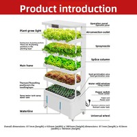 Système de culture hydroponique verticale intelligent pour légumes, culture hors-sol, multi-niveaux, pour usage domestique, pour la culture de semis