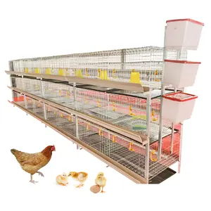 Scatola di nidificazione del pollo della gabbia della batteria del pulcino automatico del nuovo prodotto 2023 fornita gabbia di pollo del tipo H del pollaio