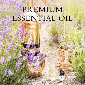 Huile essentielle ODM OEM pour diffuseur - 100% pure, naturelle, extrait de plante d'eucalyptus, huile d'aromathérapie fraîche, qualité thérapeutique, 10 ml - Product Image 5