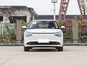 2026年最新款东风纳米箱式新能源汽车长续航331公里350公里小型电动车成人用右舵电动车 - Product Image 2