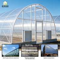 Invernadero Grande con Estructura Metálica para Horticultura, Invernadero Tropical con Cubierta de Láminas de Policarbonato, Mejor Precio