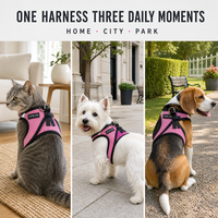 Nouveau design Harnais pour chat et chien rose et noir en maille respirante avec bordure réfléchissante et boucle rapide, commandes de collection sous marque privée