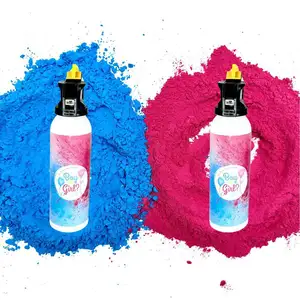 새로운 디자인 소녀 소년 아기 성별 공개 소화기 250g 분말 연기 색 블래스터