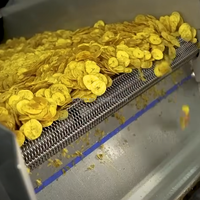 Industriële Automatische Frites Maken Machine Bananenchips Frituren Productielijn