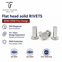 Rivets plats personnalisés TianFang pour ceintures et sangles en cuir, laiton poli, conception OEM ODM et approvisionnement en gros, devis rapide