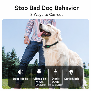 Collar de Adiestramiento Electrónico Recargable para Perros con Pantalla LCD, Antiladridos, Impermeable 3300FT, Ecológico, con Sonido y Diseño Moderno, Venta al por Mayor - Product Image 3