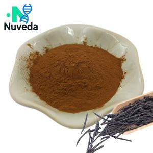 Food Grade Kuding folha ervas chá extrato pó 10:1 Ilex Kudincha polissacarídeos <span class=keywords><strong>Broadleaf</strong></span> azevinho folha extrato em pó - Product Image 1
