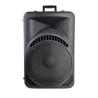 Grande puissance professionnelle BT haut-parleur extérieur chariot haut-parleur Audio Portable karaoké lecteur stéréo sons haut-parleur