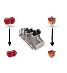 Línea automática de procesamiento de frutas y verduras Máquina de limpieza de burbujas de aire para frutas y verduras Máquina de secado de lavado de verduras y alimentos