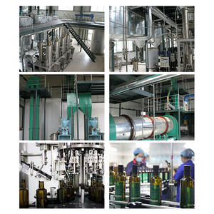 Estratto di semi di Perilla per uso alimentare in polvere integratore sanitario 10:1 20:1 concentrazione di Aloe Vera varietà bottiglia 1kg - Product Image 6