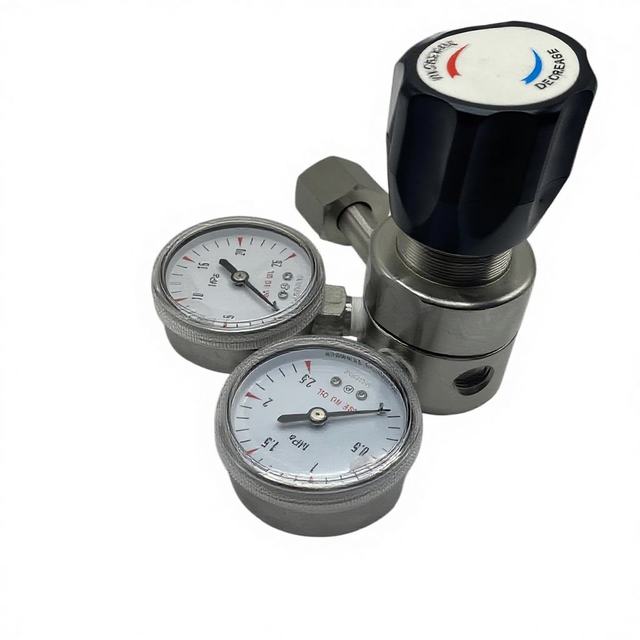 Double Gauges CGA330 316L Stainless Steel Hydraulic Pressure Regulator Control for Helium SO2 CO2 Gas with 100m3/h Flow Range