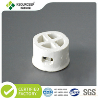 Anneau céramique super mini anti-corrosion, anneau céramique plat pour colonne d'absorption chimique