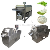 Ligne de Production d'aloe Vera, Machine à laver industrielle entièrement automatique, plante de traitement d'aloe Vera, meilleur prix