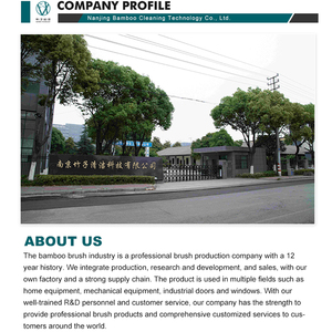 Oem chịu nhiệt độ cao h loại Nylon mài mòn lông bụi Dải bàn chải công nghiệp cửa bàn chải - Product Image 5