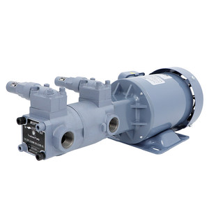 Bomba Cicloidal Autocebante de Doble Bomba Equivalente a NOP con Motor Integrado Modelos TOP-210HBM+212HB China Continental - Product Image 5