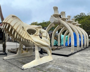 <span class=keywords><strong>Comprar</strong></span> Realista Dinosaurio Fósil Cabeza T-Rex Esqueleto Calavera Réplica PARA LA Decoración del Parque - Product Image 4