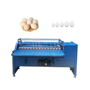 易操作鸡蛋分选机/鸭蛋重量分选设备/鸡蛋分级机