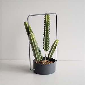 De Metal moderno de pared y techo pote del plantador de mejor <span class=keywords><strong>venta</strong></span> <span class=keywords><strong>en</strong></span> el medio siglo para la decoración del hogar - Product Image 1
