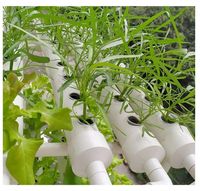 Système hydroponique commercial et industriel avec pompe, tuyau PVC, tube NFT, conception verticale
