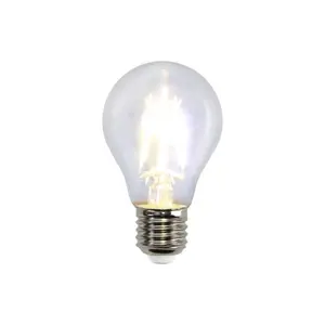 Ampoule à Filament LED Vintage A60 E27 E26 6W 12V 24V 12-24V DC 6000K 6500K blanc froid A19