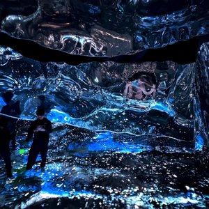 Proyección Holográfica para Presentación de Productos en Lanzamientos de Marcas, Exhibiciones Comerciales y Eventos Comerciales en Interiores - Product Image 1