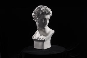 <span class=keywords><strong>Buste</strong></span> de David HUIXISHI en plâtre, sculpture modèle SG, gypse blanc de haute qualité, pour étudiants en art, dessin, peinture, examen, logo personnalisé - Product Image 5