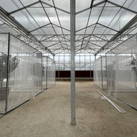 Systèmes hydroponiques d'agriculture intelligente, grande serre tunnel commerciale à double couche en PE avec contrôle automatique, à vendre