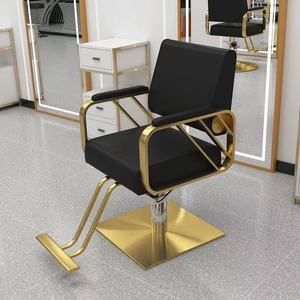 Silla de Estilista Profesional, Altura Ajustable, Silla de Peluquería de Acero Inoxidable Resistente - Product Image 1