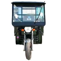 Tricycles électriques de cargaison de cabine fermée bleue de la 60V 1000W avec la capacité de charge de 500kg pour la ferme