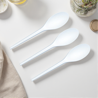 Ensemble de couverts de mariage Greenday, vaisselle de fête, service de traiteur, ustensiles alimentaires, table à manger, vaisselle jetable pour la maison, cuillère en CPLA