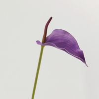 Fleur d'Anthurium Artificielle en PU de Haute Qualité, Toucher Naturel, Faite à la Main, 6 Couleurs, Vente en Gros, Idéale pour la Remise des Diplômes, la Fête des Mères, la Saint-Valentin
