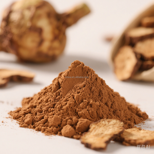 チコリエキス食品グレードチコリ根エキス粉末 - Product Image 2