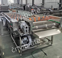 Vbjx Automatische Verse Olijffruit Groente Wortel Luchtbel Wassen Schone Droge Machine Wasmachine Met Transportband