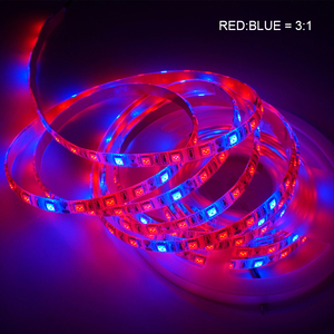 Tiras de Luces LED para Cultivo, Espectro Completo, Chip 2835, 5V 40W, Regulable, Lámpara para Plantas de Interior, Hiedras, Pothos - Product Image 2