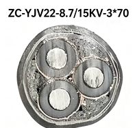 Klasse C FR Aluminium-Armiertes Kabel 8,7/15kV 3*70mm²