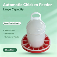 Nouveau système d'alimentation automatique pour poulets MUDUODUO FTM-10-4D pour l'élevage, propre et durable, facile à utiliser