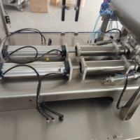 Machine de remplissage automatique de mayonnaise et de miel à 2 têtes, ligne d'emballage horizontale à piston pour liquides, idéale pour les petites entreprises
