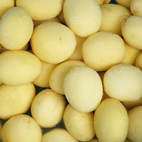 Fabriek Direct Verkoop Nieuwe Volautomatische 304 Roestvrij Staal Hoge Productiviteit Aardappelchips Uienringen Productielijn Machine