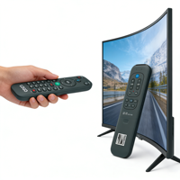 Télécommande universelle intelligente pour téléviseur, remplacement de la télécommande vocale BT, compatible avec les mini-téléviseurs et les boîtiers TV