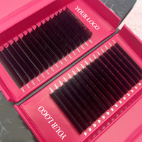 Perlengkapan Grosir Logo Pribadi Matte Black Velvet Mink Eyelash Extension Trays Volume Lashes CC CD DD Dark Black Cashmere Lash