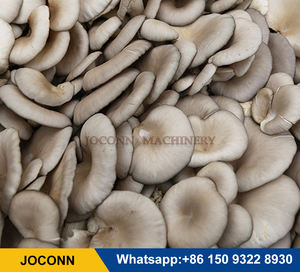 เครื่องฉีดวัคซีนวางไข่แบบแข็งเห็ดนางรมการฉีดวัคซีน - Product Image 6