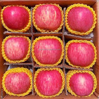 Chinese Fuji Red Delicious Sappige Verse Appels Graad 1 Shandong Zoete Smaak Vitamine Fabriek Outlet