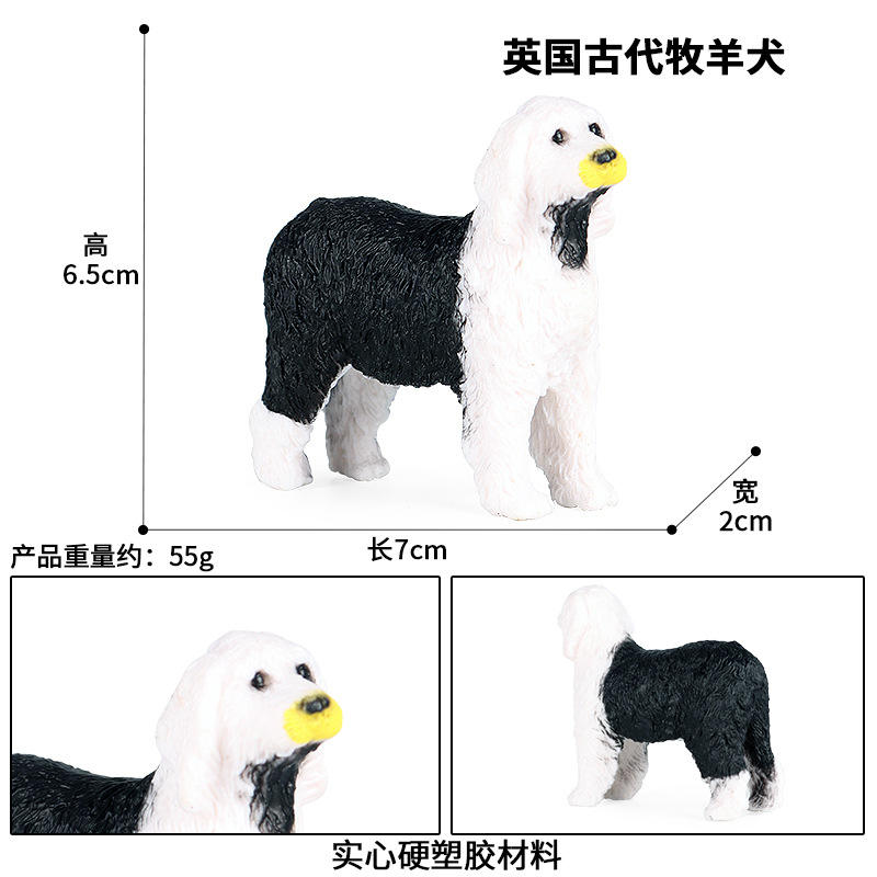 Zjs-156 Un ancien chien de berger anglais