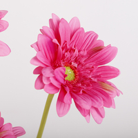 Fleur artificielle en gros, branche de gerbera à tête unique pour la décoration florale, fleur de chrysanthème hydratante au toucher réel