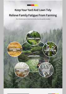 Cortadora de Césped Fácil de Usar con Poste Telescópico Largo/Corto - OEM/ODM y Venta Directa - Product Image 2