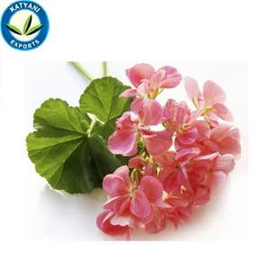 Prix de gros en vrac pour l'huile essentielle de géranium rose naturelle pure 100%-parfaite pour l'aromathérapie et les soins de la peau - Product Image 6