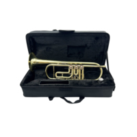 SEASOUND OEM High Quality BB Tone Rotary Brass Trompeta JYTR411 Lacquer and Gold Surface Trumpet